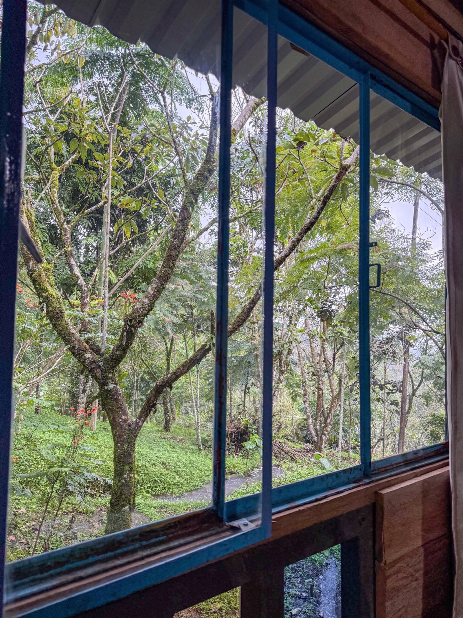 Cabaña Pescaditos - Entorno natural