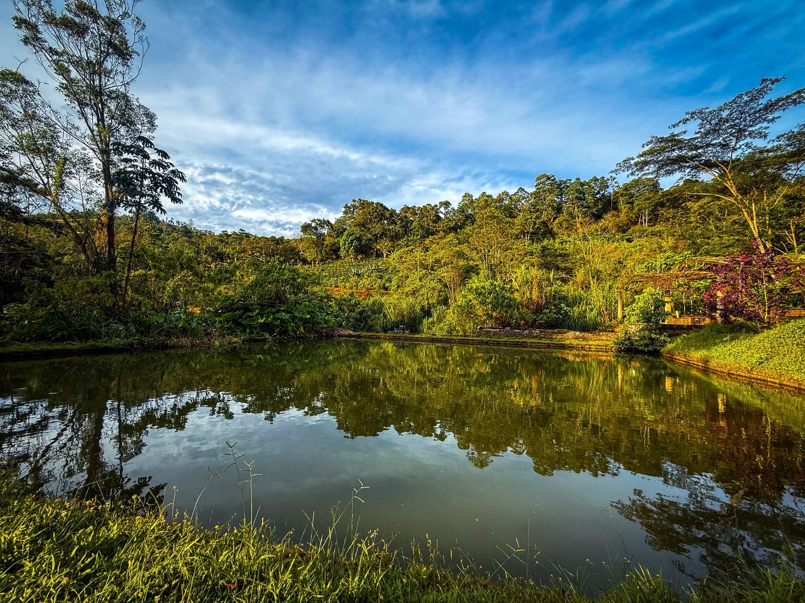Pasadía todo incluido - Jardín del Agua