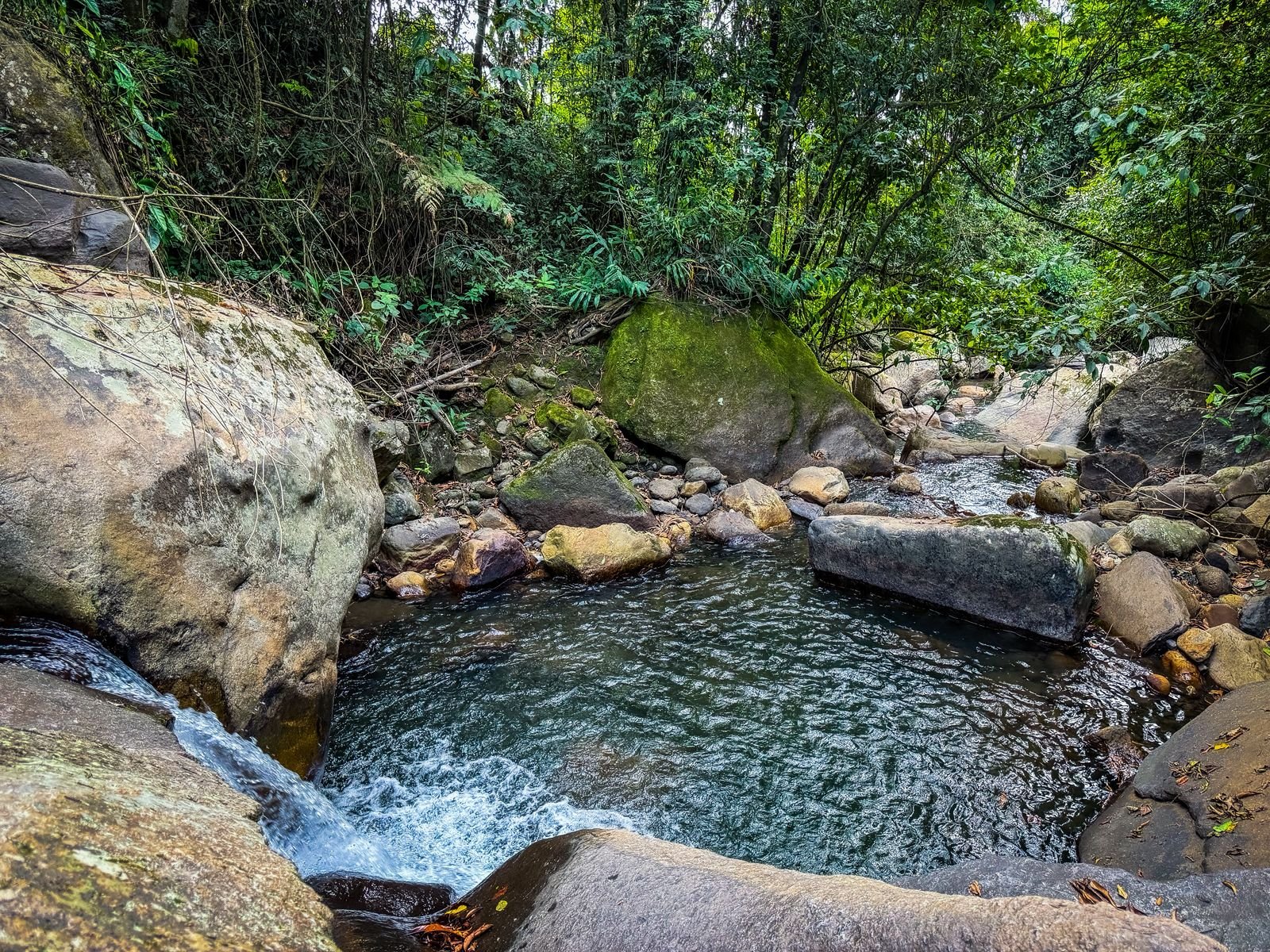 Pasadía todo incluido - Jardín del Agua