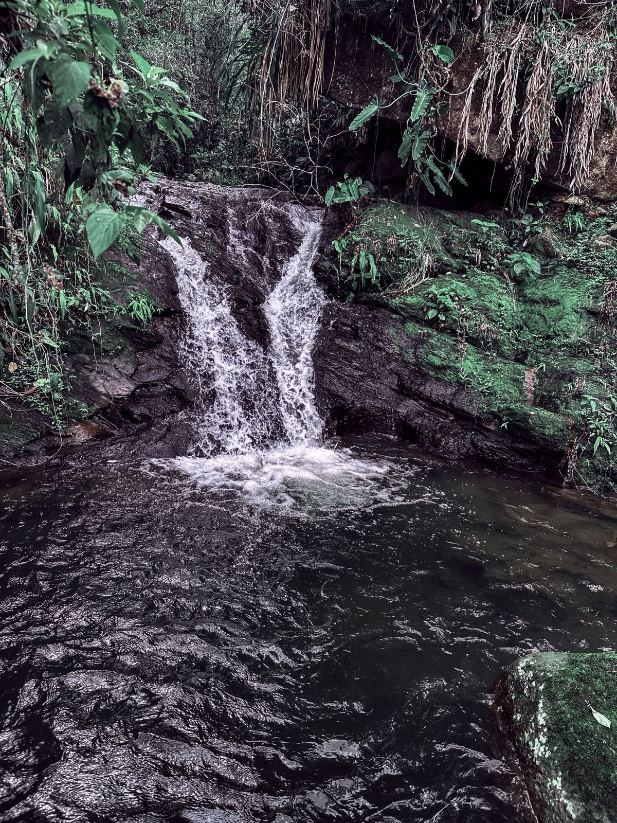 Pasadía todo incluido - Jardín del Agua