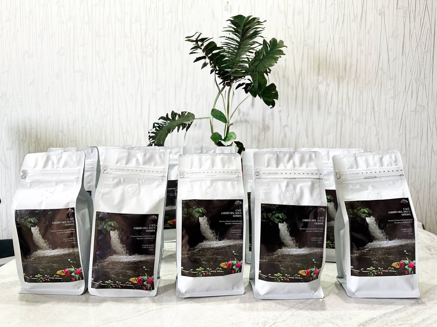 Café Geisha