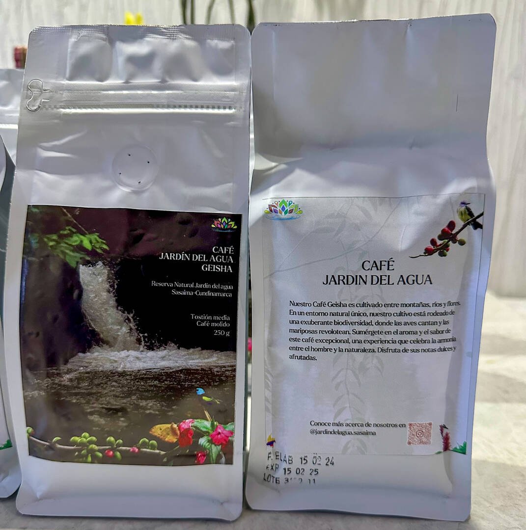 Cultivo de café