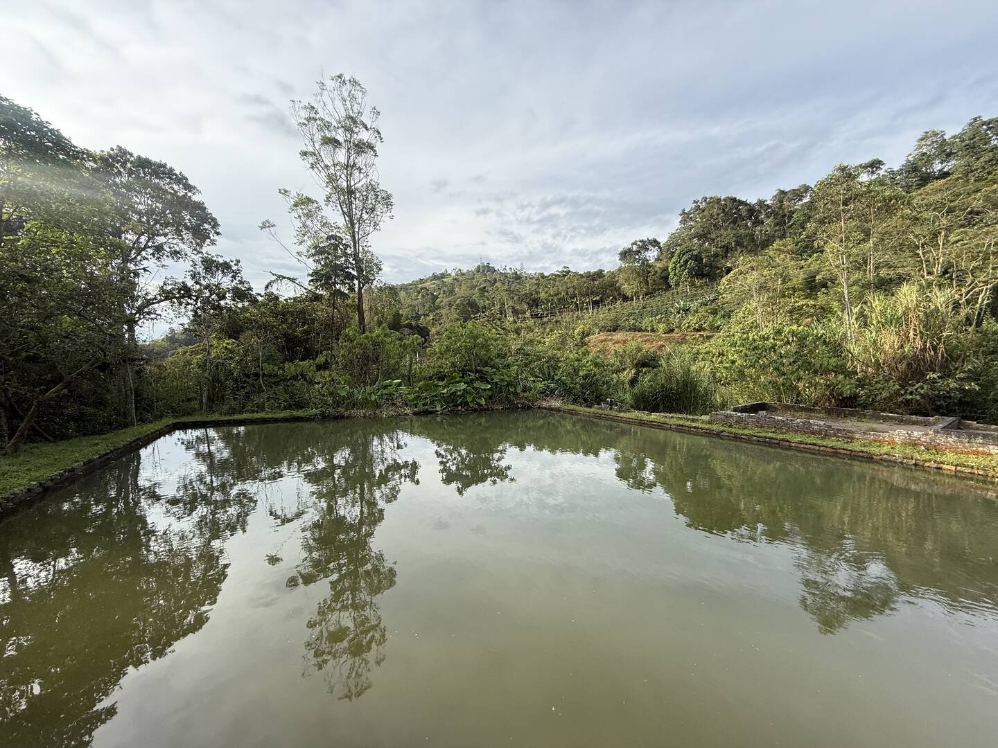 Galería Jardín del Agua 26