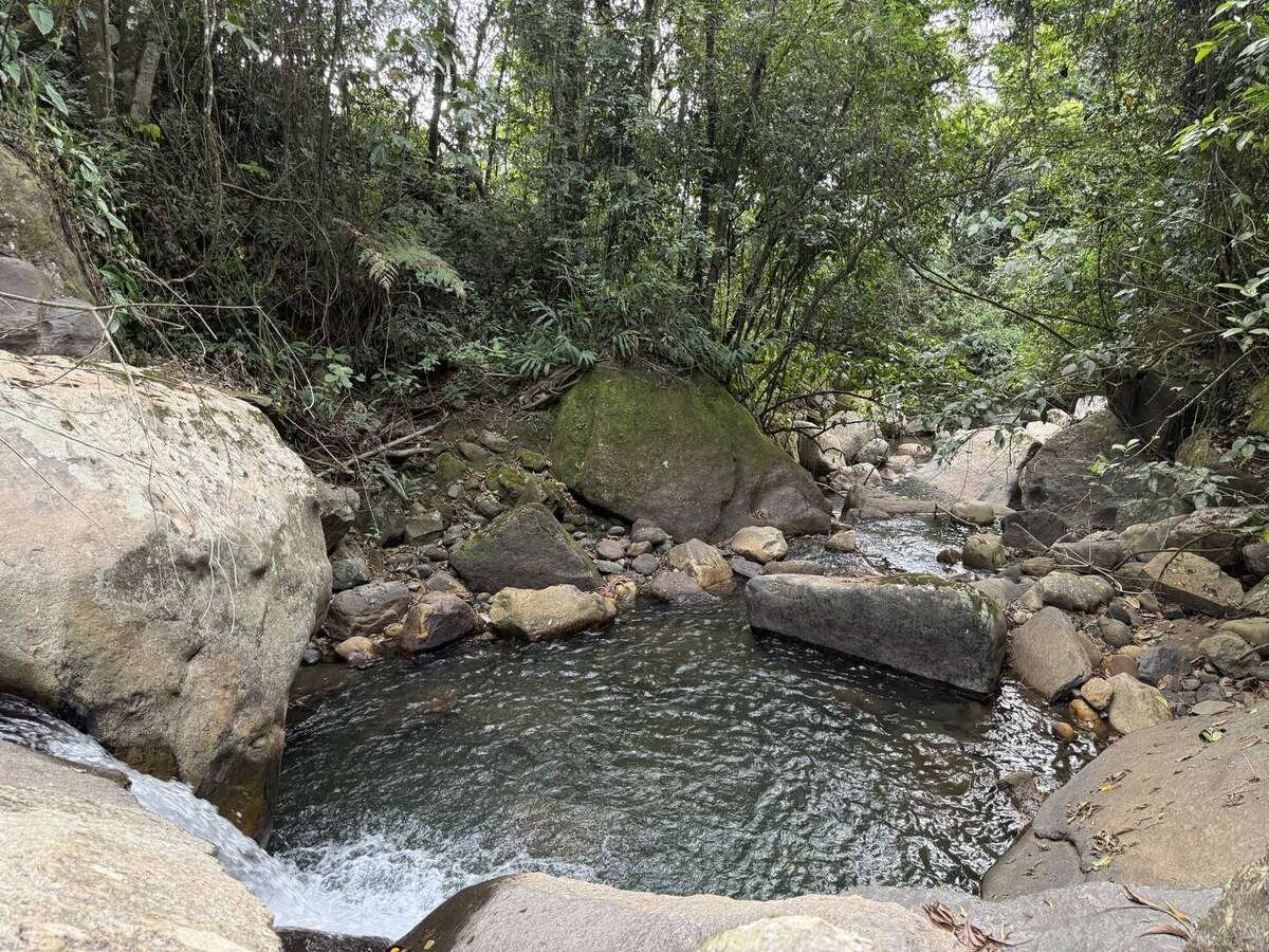 Galería Jardín del Agua 28