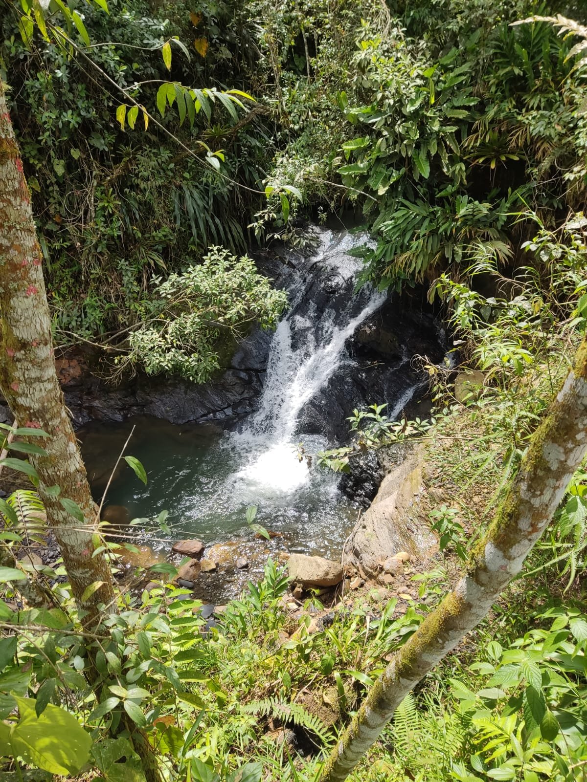 Galería Jardín del Agua 30