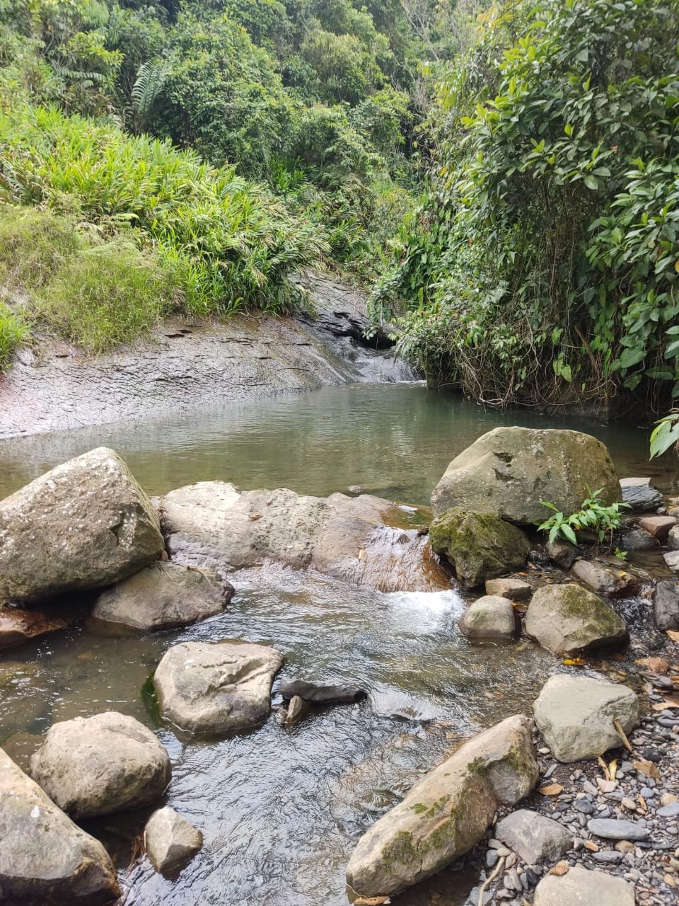 Galería Jardín del Agua 31