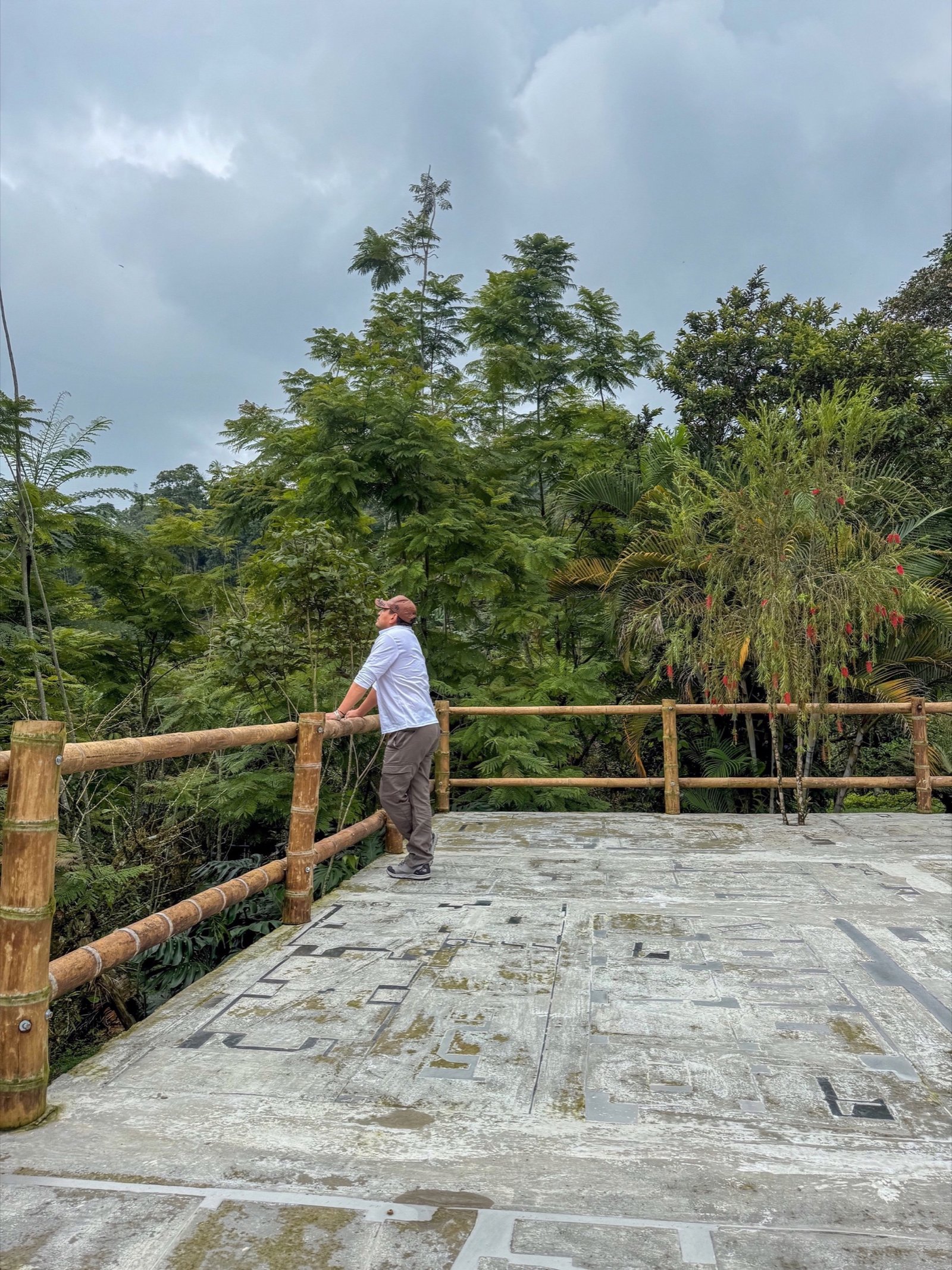 Galería Jardín del Agua 33