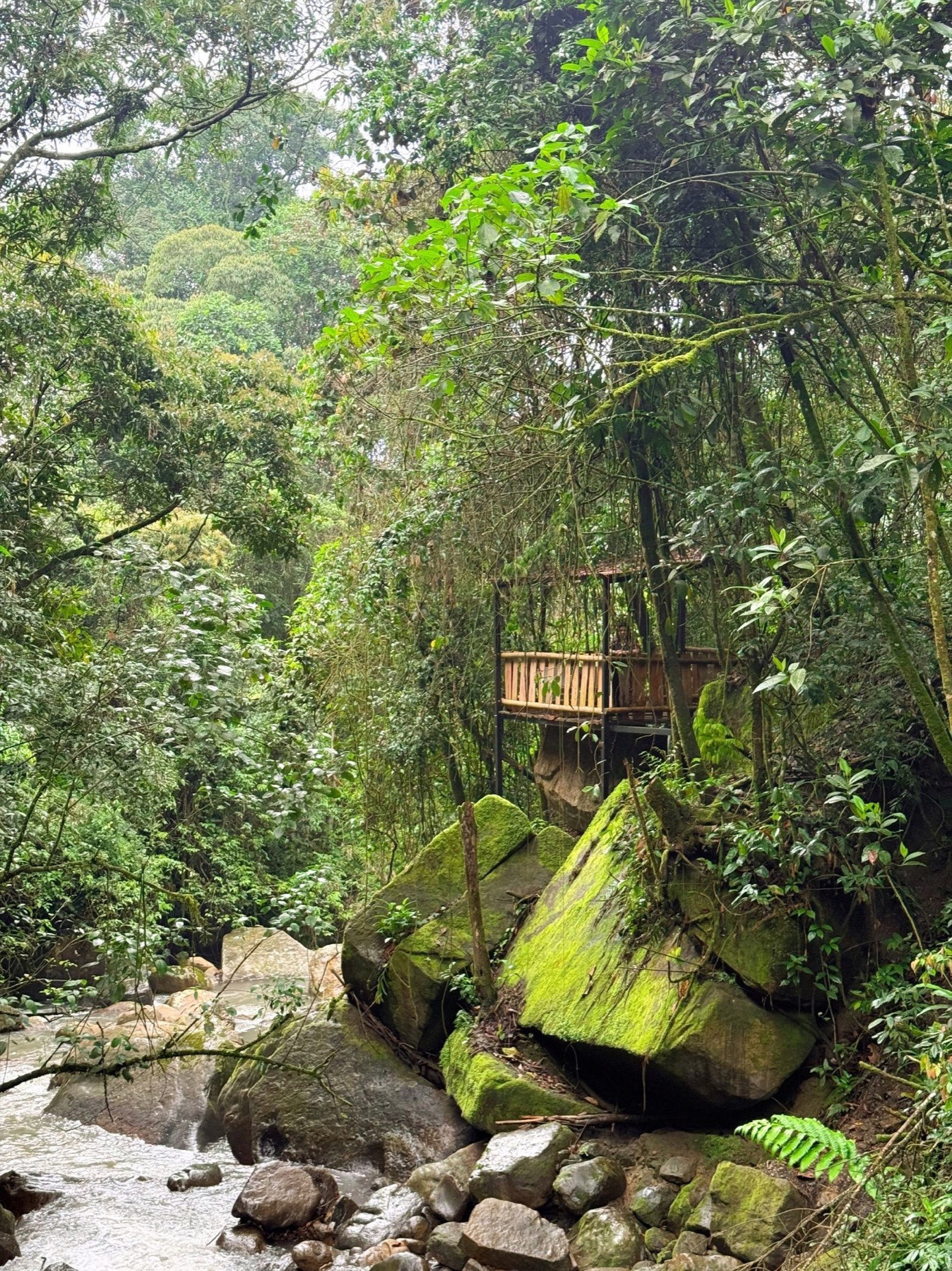 Galería Jardín del Agua 39