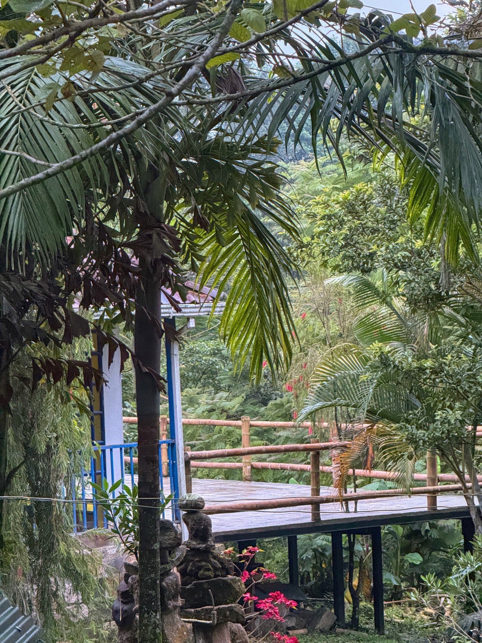 Galería Jardín del Agua 42