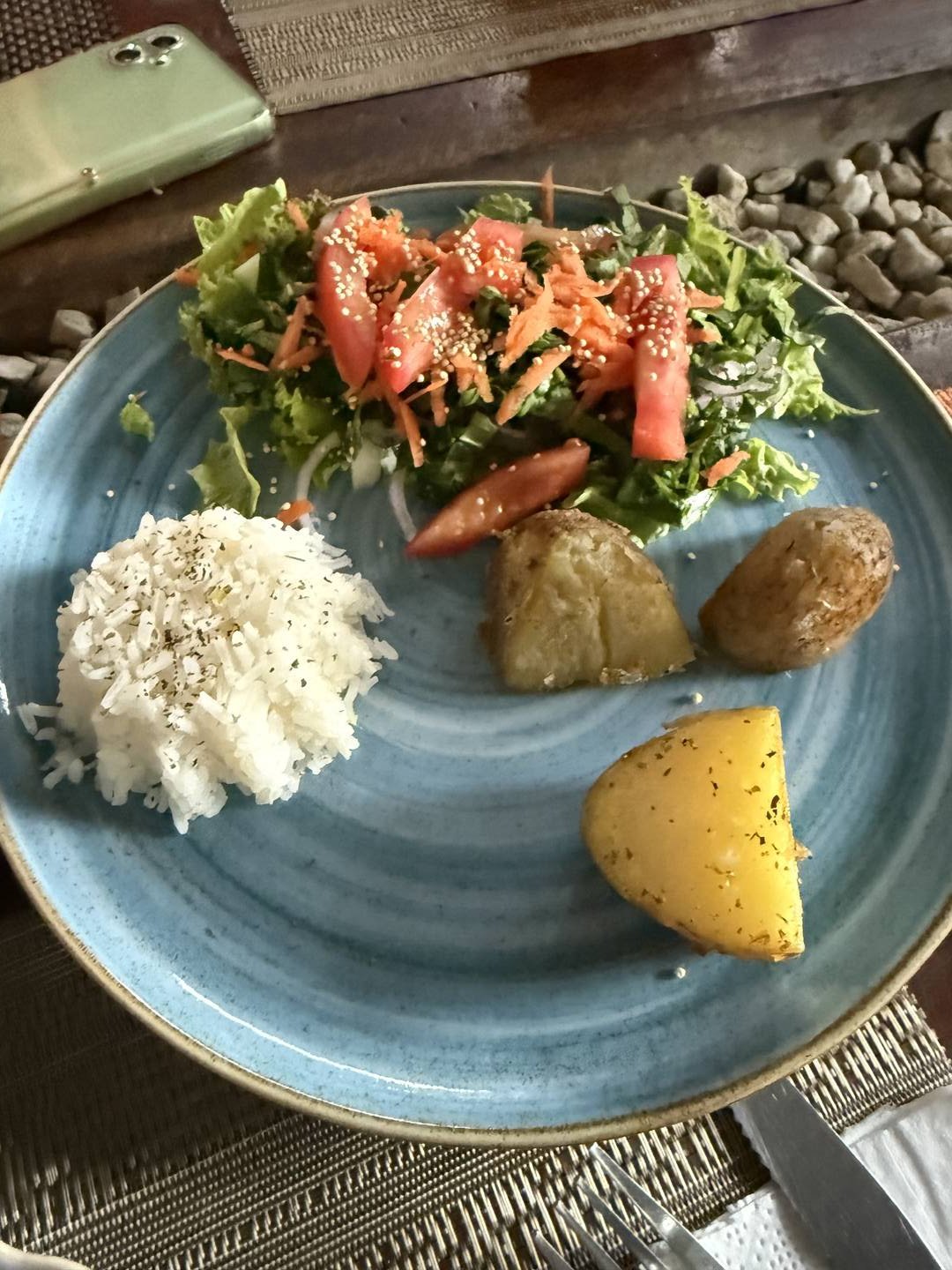 Menú Pasadía