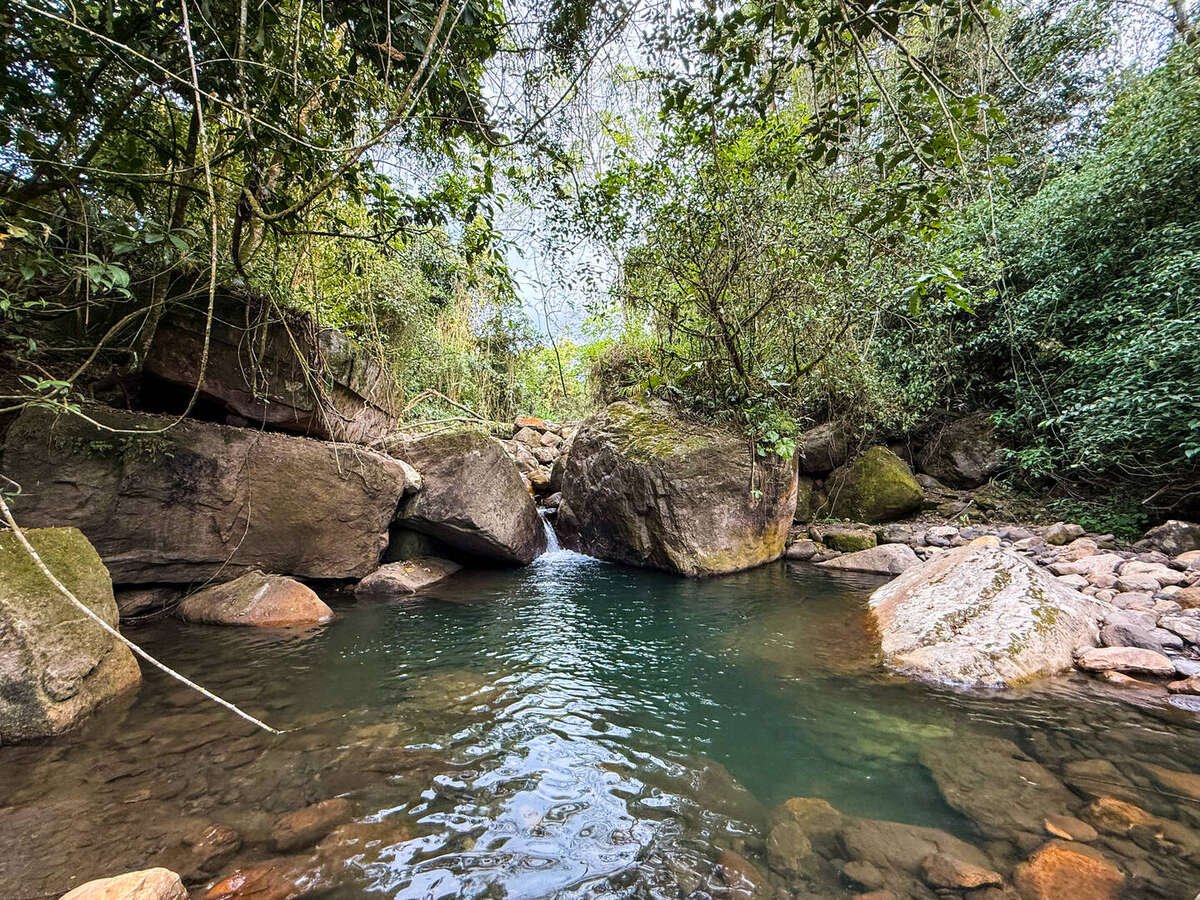 Pasadía Básico