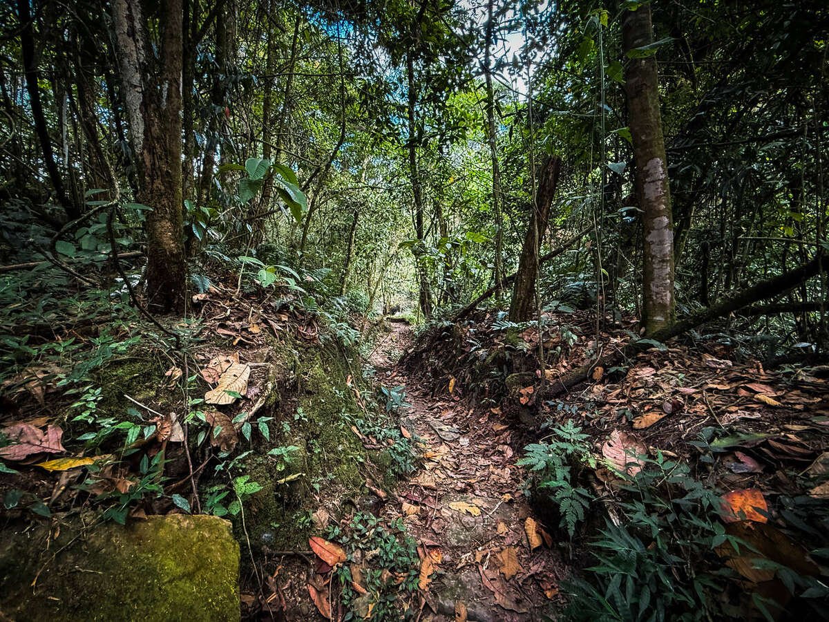 Pasadía Básico